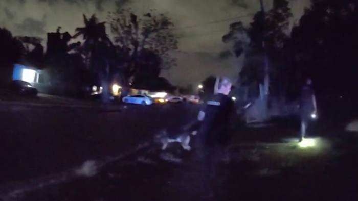 Bodycam video released months after crash where bystander was fatally struck during Orlando police pursuit