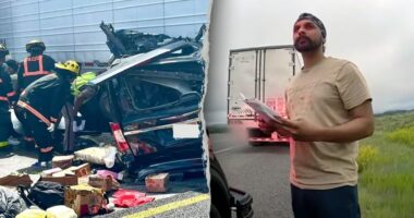 Bodycam video shows illegal immigrant truck driver speaking limited English with New Mexico officer