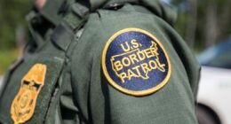 Border agent charged with assaulting police officer dies days after court appearance