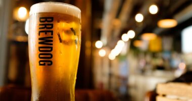 BrewDog's craft beers are axed from 2,000 pubs as popularity wanes