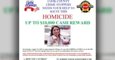 Bridgeport, Chicago shooting: $10,000 reward offered after Gabriela Ochoa shot, killed during armed robbery on West 27th Street