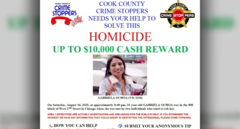 Bridgeport, Chicago shooting: $10,000 reward offered after Gabriela Ochoa shot, killed during armed robbery on West 27th Street