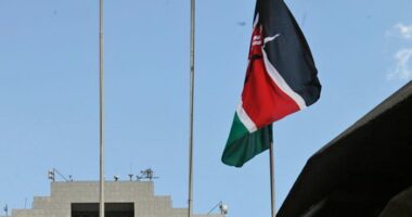 British Army faces criticism despite a historic payout over Kenyan wildfires