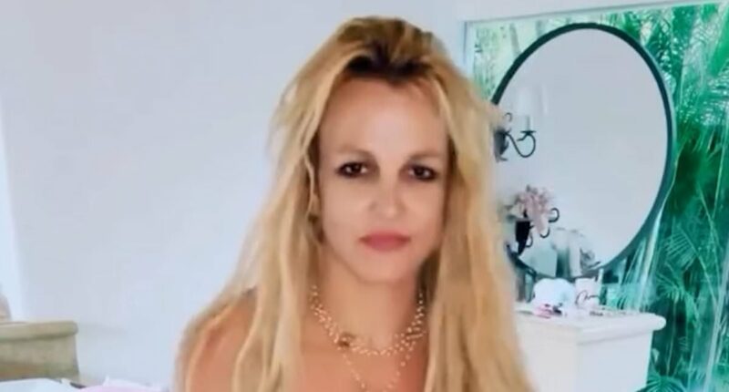 Britney Spears fans SLAM ex Kevin Federline over 'cash grab'