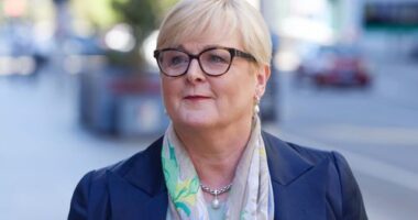 Liberal senator Linda Reynolds arrives at the David Malcolm Justice Centre in Perth, Tuesday, March 5, 2024.