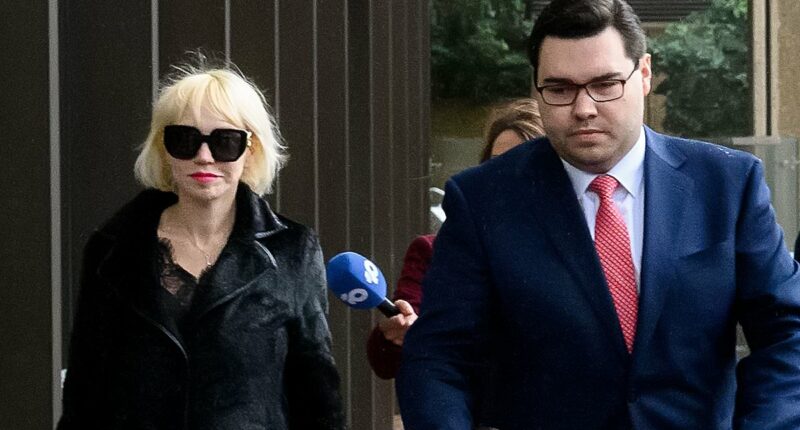 Bruce Lehrmann's lawyer's 'soft rape' outburst in court