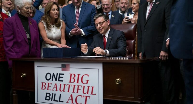 Speaker Mike Johnson (R-La.) is seen after signing the One Big Beautiful Bill Act at an enrollment ceremony on July 3, 2025. (Greg Nash/The Hill)