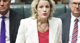 "We want builders doing what they do best and that's building high quality homes for Australians - we don't want them stuck in the back office filling in forms," Housing Minister Clare O'Neil said today.