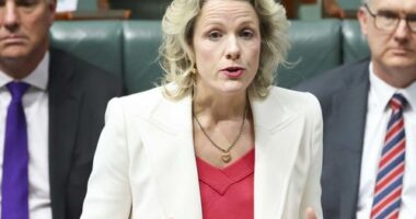 "We want builders doing what they do best and that's building high quality homes for Australians - we don't want them stuck in the back office filling in forms," Housing Minister Clare O'Neil said today.