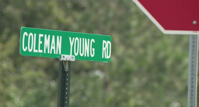 Burke Co. Sheriff's Office requests GDOT safety study after multiple deadly crashes at county intersection
