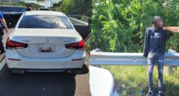 CBP agents foil carjacking suspect in Washington DC as Trump makes city 'safe and beautiful'