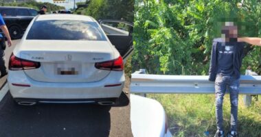 CBP agents foil carjacking suspect in Washington DC as Trump makes city 'safe and beautiful'