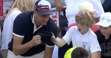 CEO is named on Internet as US Open tennis fan who snatched star's hat