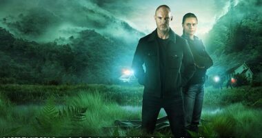 Richard Flood plays a modern-day Jack Regan as crime thriller The Gone returns, using his fists to interview suspects when his journalist girl- friend goes missing in the New Zealand mountains