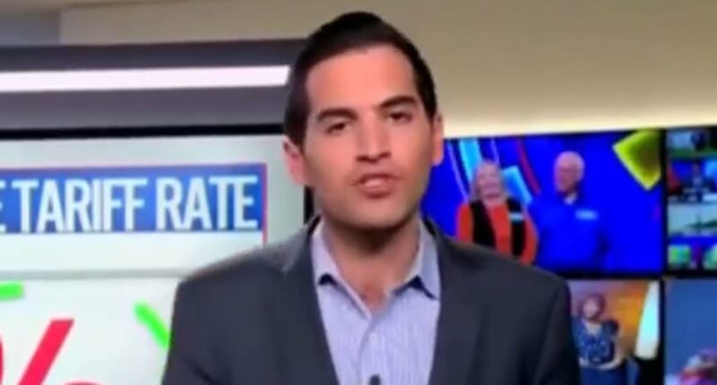 CNN expert pays Trump the ultimate compliment while discussing tariffs