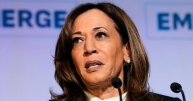 California Highway Patrol to protect Kamala Harris: Report
