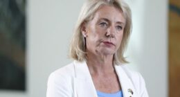 Call for 'change of approach' following horror Porepunkah shooting