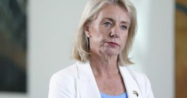 Call for 'change of approach' following horror Porepunkah shooting