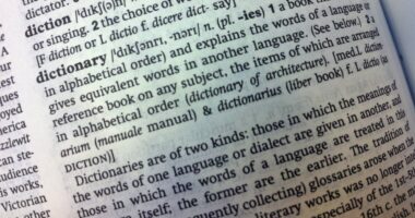 Cambridge Dictionary adds 'skibidi' and 'tradwife' among 6,000 new words
