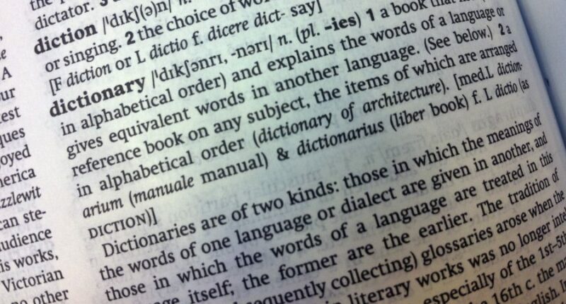 Cambridge Dictionary adds 'skibidi' and 'tradwife' among 6,000 new words