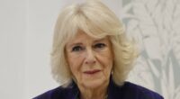 Camilla 'was sexually assaulted, and fought off attacker with heel'