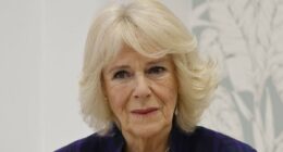 Camilla 'was sexually assaulted, and fought off attacker with heel'