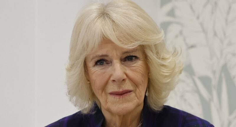 Camilla 'was sexually assaulted, and fought off attacker with heel'