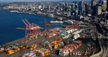 Captain arrested on suspicion of operating container ship drunk