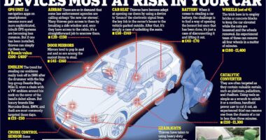 Car thieves don't care about your vehicle... THIS is what they take
