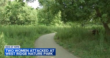 Chicago police investigating man following, touching women at West Ridge Nature Park on Western Avenue, alderperson and CPD says
