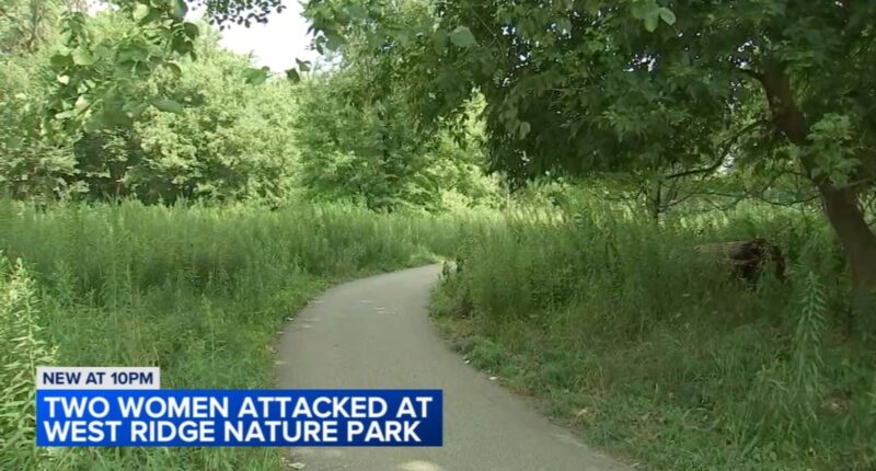 Chicago police investigating man following, touching women at West Ridge Nature Park on Western Avenue, alderperson and CPD says