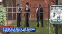 Chicago shooting: 5-year-old boy shot in head, critically injured at apartment on South Greenwood Avenue in Kenwood, police say