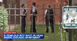 Chicago shooting: 5-year-old boy shot in head, critically injured at apartment on South Greenwood Avenue in Kenwood, police say