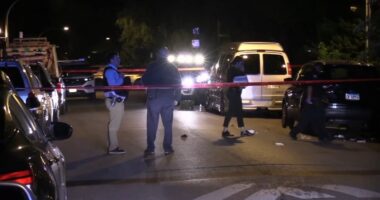 Chicago shootings: Tia Bell, Deandre Russell, Nurrie Foy killed in 2 East Garfield Park shootings on Maplewood, Gladys Avenues: ME