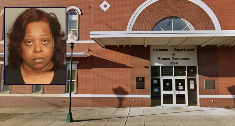 Child agency worker allegedly left toddler in hot car to die