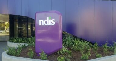 Children with mild autism to be removed from the NDIS by 2027