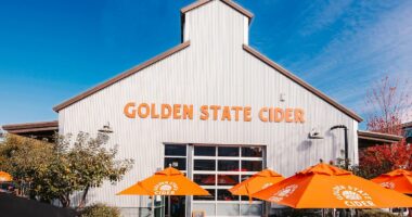 Cider maker's 'disgusting treatment' of dad caring for premature son