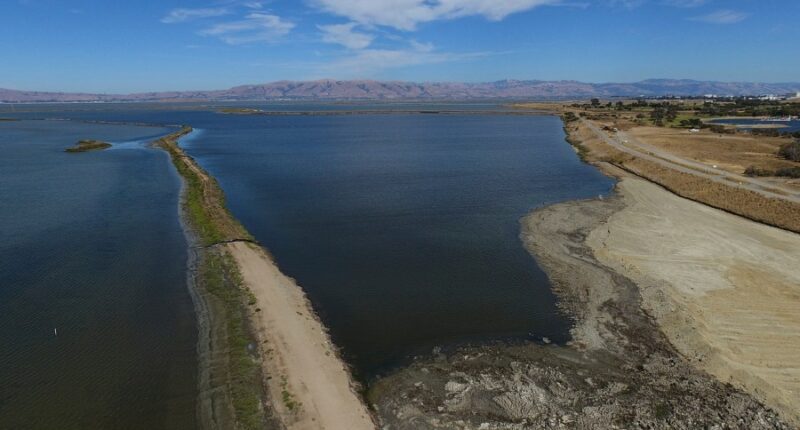 Coastal communities restoring marshes, dunes, reefs to protect against rising seas and storm surges