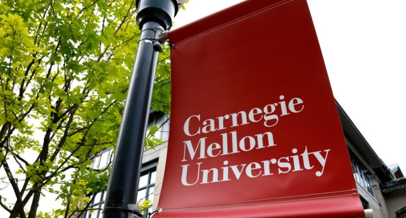 Colleges face financial struggles as Trump policies send international enrollment plummeting
