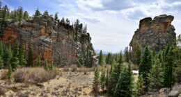 Colorado Parks and Wildlife ranger charged with staging fake stabbing incident that locked down schools