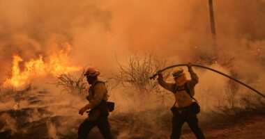Colorado prison evacuated as growing wildfire becomes one of the largest in state history