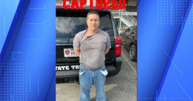 Convicted sex offender in Louisiana agrees to be castrated by state: reports