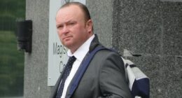 Cop lied Ronan Keating was cousin then sent fake messages to colleague