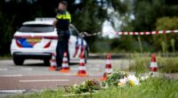 Flowers left at a roadside crime scene.