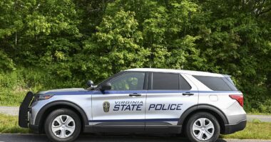 Cops scramble as parents panic after surge in missing children