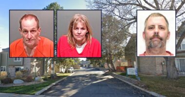 Couple kept corpse of threesome partner for months: Police