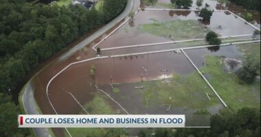 Couple loses equine business, home to flood, community steps up to help