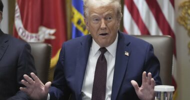 Court delivers stinging rebuke to Trump over tariffs