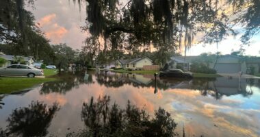 Crews excavating Phillippi Creek; residents say streets were flooded during TS Debby