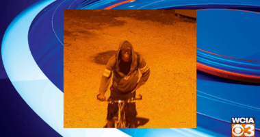 Crime Stoppers seeking tips on power tool burglar in Springfield